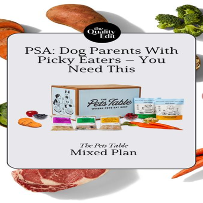 editorial collage ad template — The Pets Table