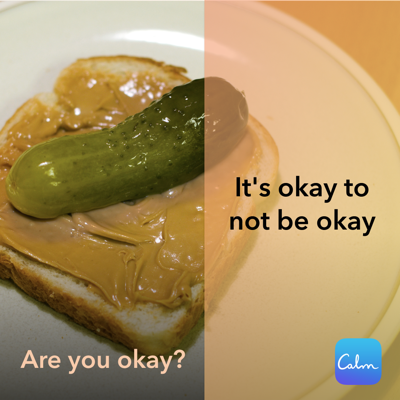 TikTok social ad template — Calm