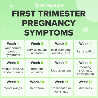 bundle product suite ad template — Glow Nurture - Pregnancy & Baby Tracker