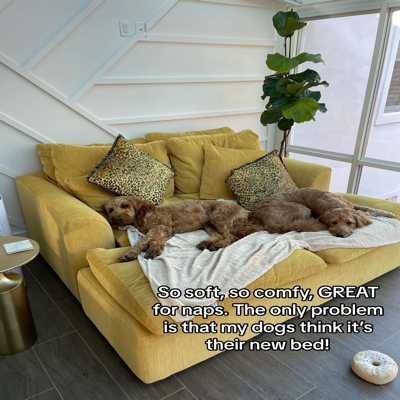 coming soon new ad template — Joybird