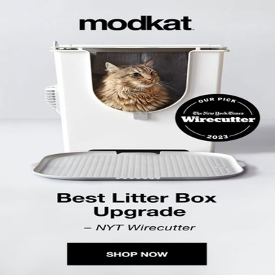as seen in social proof ad template — Modkat