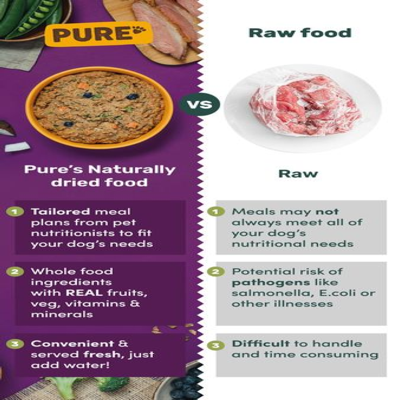 competitor comparison ad template — Pure Pet Food