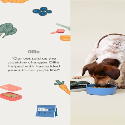 endorsement testimonial ad template — Ollie