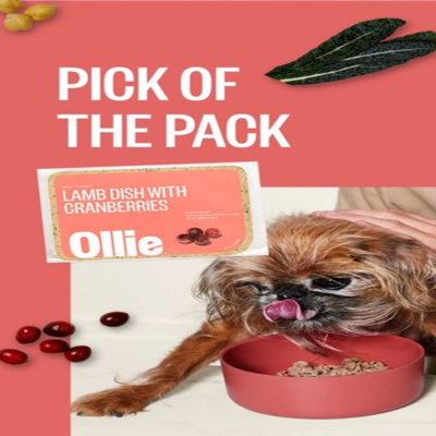 editorial collage ad template — Ollie