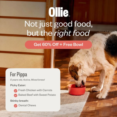 multi product product suite ad template — Ollie