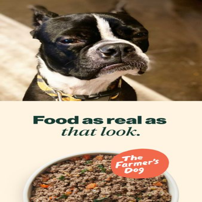 lifestyle collage ad template — The Farmers Dog