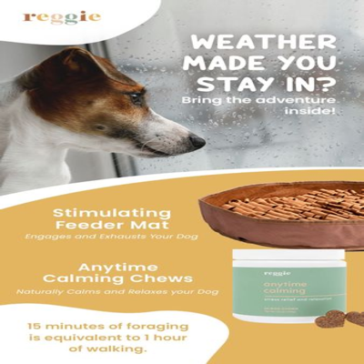 product line product suite ad template — Reggie