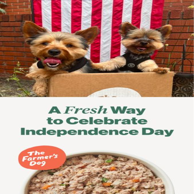 gift guide holiday ad template — The Farmers Dog