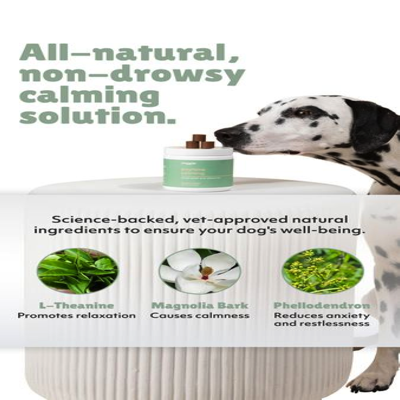 benefits benefits ad template — Reggie