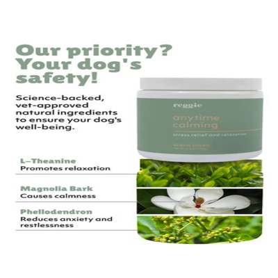 product advantage benefits ad template — Reggie