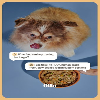 rating testimonial ad template — Ollie