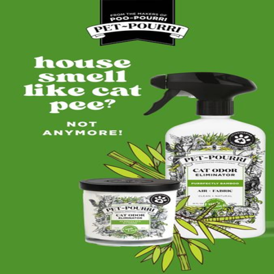 catalog product suite ad template — Pourri