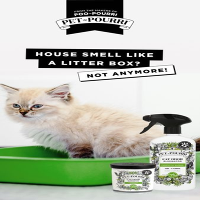 catalog product suite ad template — Pourri