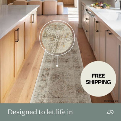 flash sale offer ad template — Ruggable