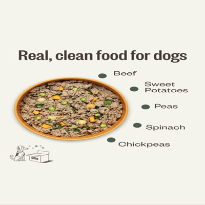 product suite product suite ad template — Ollie