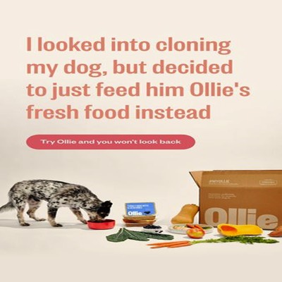 trust testimonial ad template — Ollie