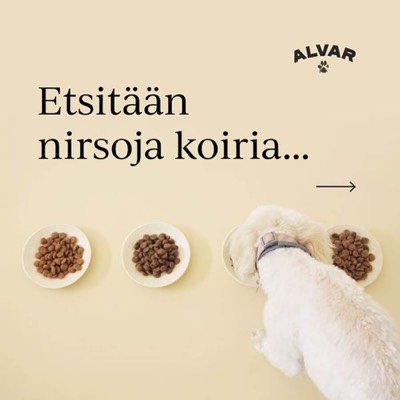 multi product product suite ad template — Alvar Pet