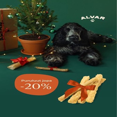 offer offer ad template — Alvar Pet