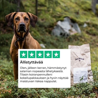 rating testimonial ad template — Alvar Pet