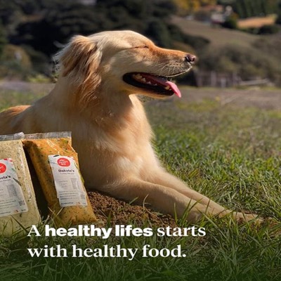 range product suite ad template — The Farmers Dog