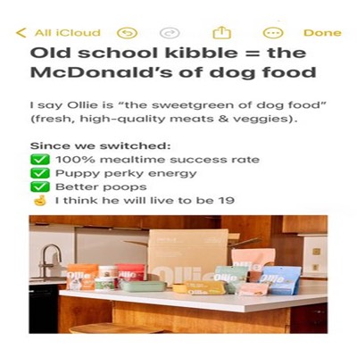 bundle product suite ad template — Ollie