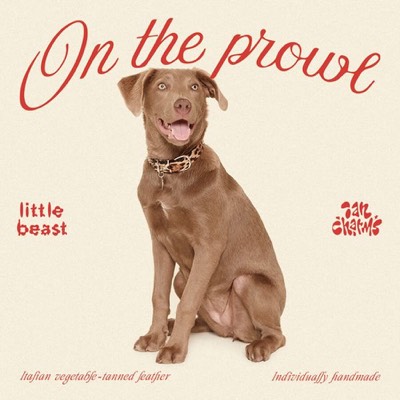 range product suite ad template — Little Beast