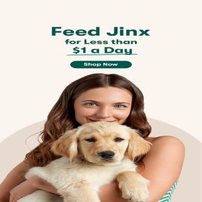 offer offer ad template — Jinx