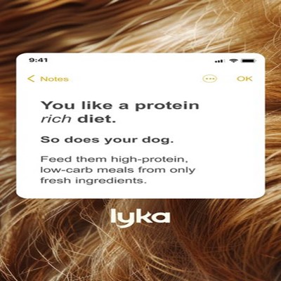collection product suite ad template — Lyka Pet Food