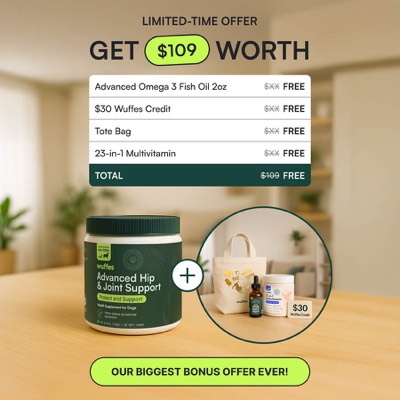 discount offer ad template — Wuffes