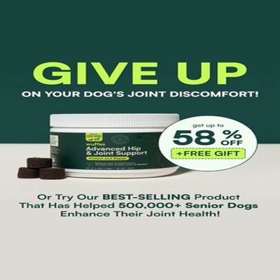 promotion offer ad template — Wuffes