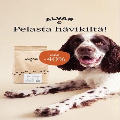 sale offer ad template — Alvar Pet