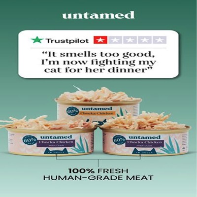 review testimonial ad template — Untamed