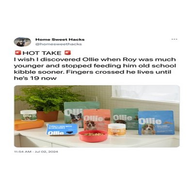 pet food ad ad template — Home Sweet Hacks